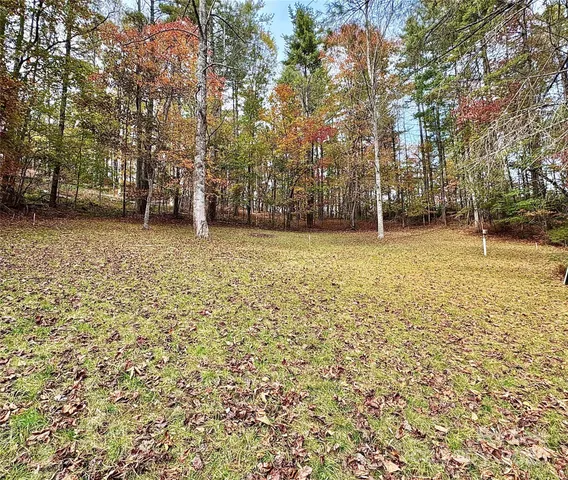 a view of a yard with a trees