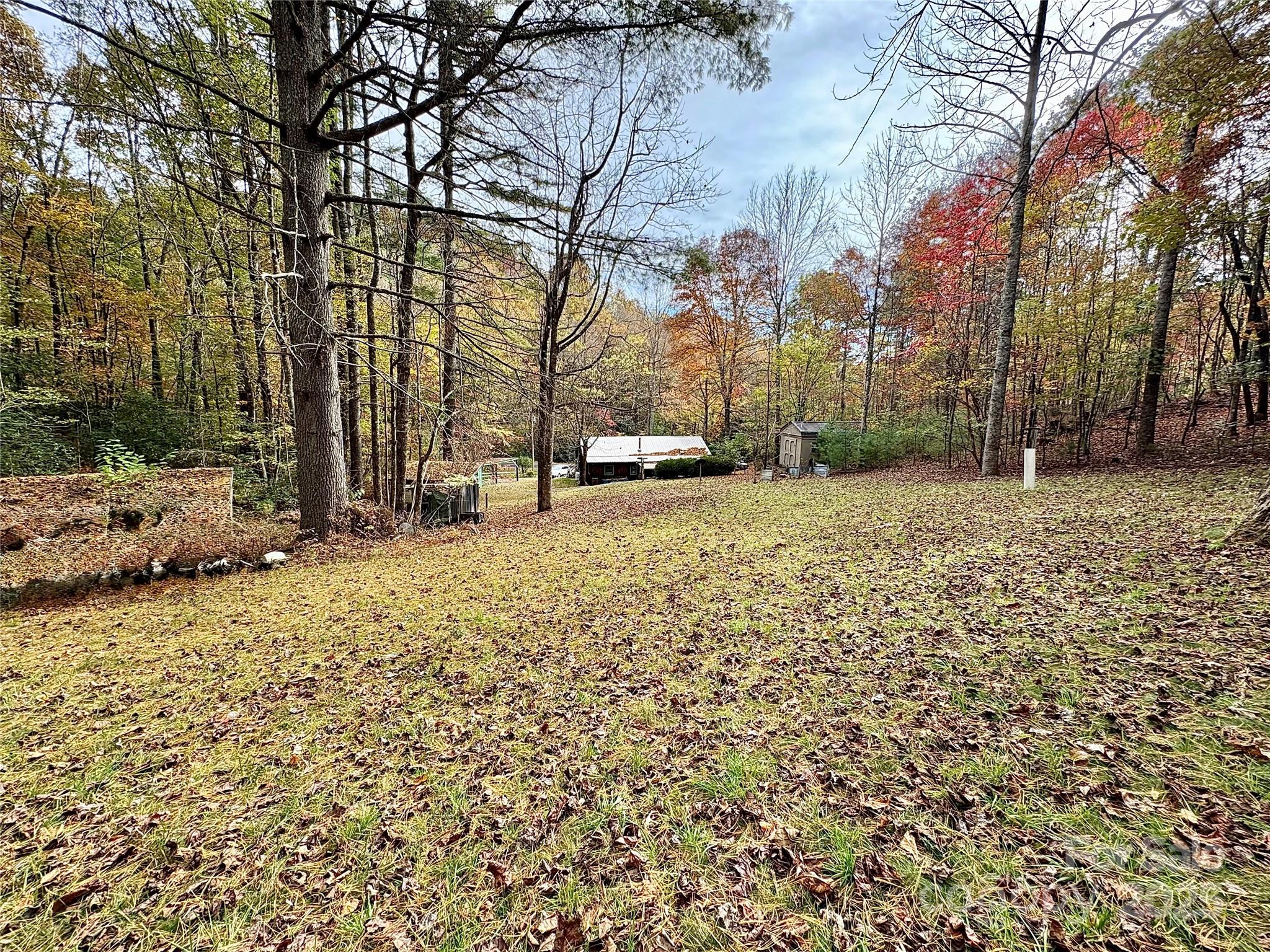 875 Carson Creek Road Brevard, NC 28712 - Photo 9 of 36