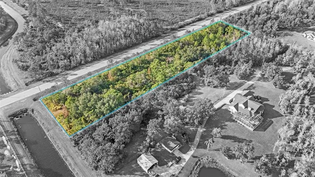 a view of a garden with flowers