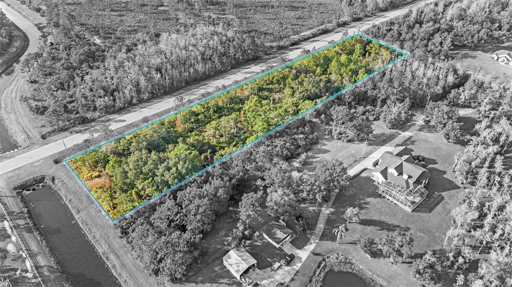 2 Ralston Street Orlando, FL 32833 - Photo 1 of 12 a view of a garden with flowers