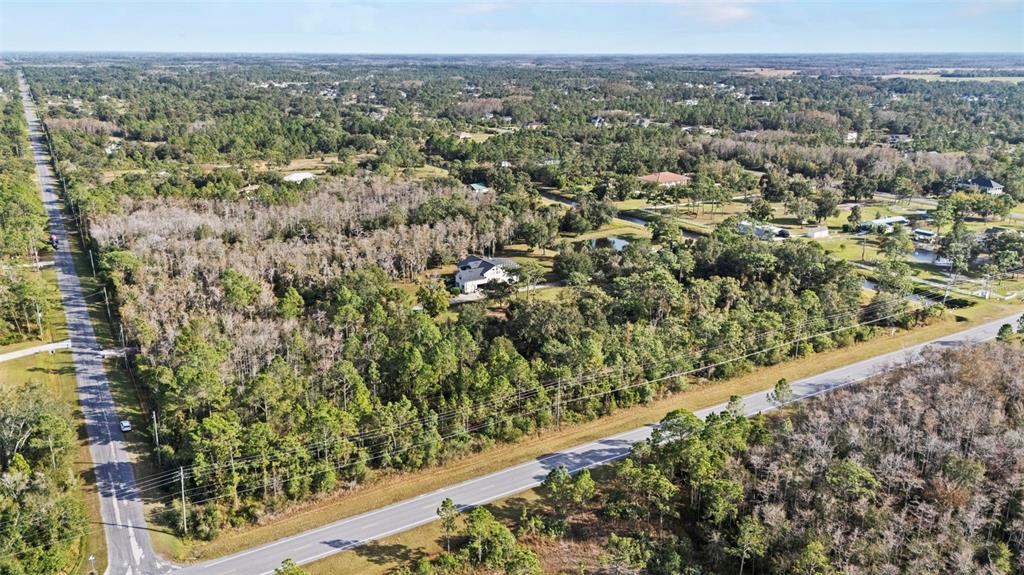 2 Ralston Street Orlando, FL 32833 - Photo 9 of 12 an aerial view of forest