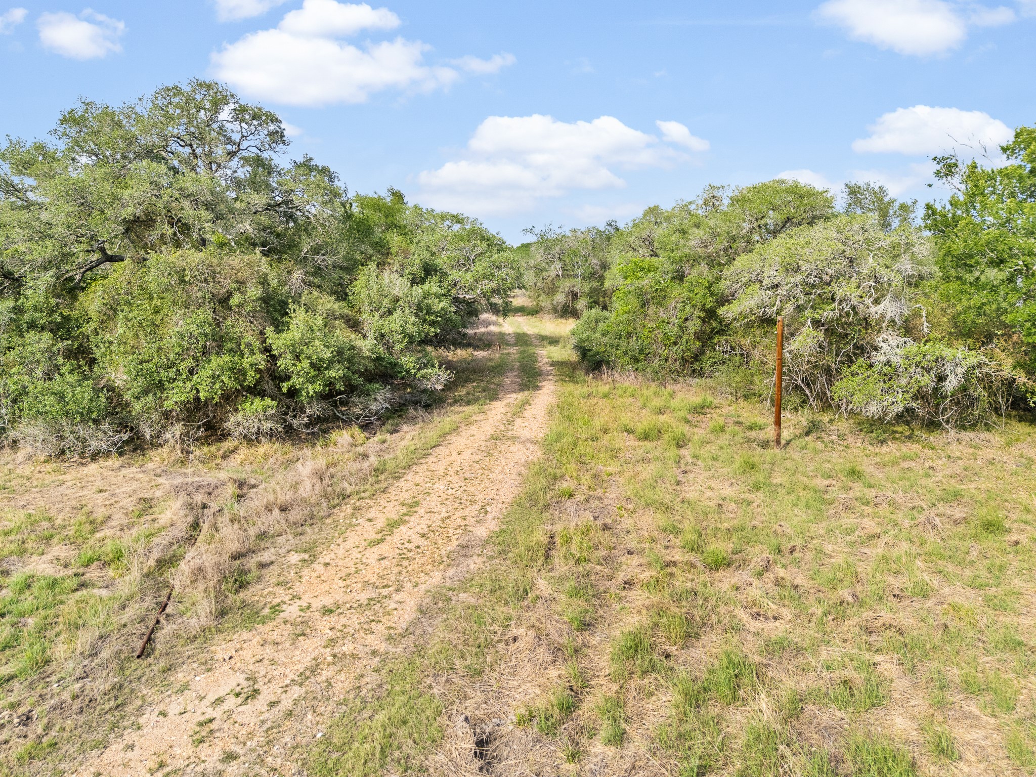 6 Fm 530 Edna, TX 77957 - Photo 4 of 27 a view of a yard with plants and large trees