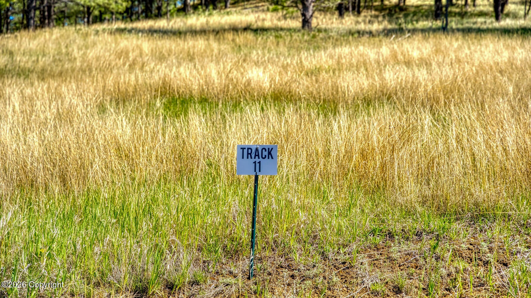 11 Morning Glory Road Hulett, WY 82720 - Photo 44 of 53 Gallery Image 44