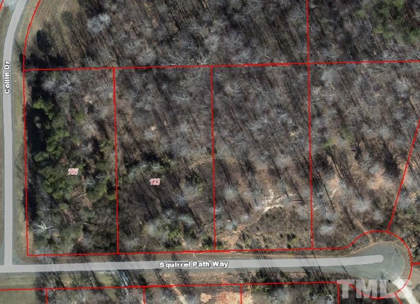 105 Squirrel Path Way, Unit TRACT 4 Roxboro, NC 27574 - Photo 4 of 6 Gallery Image 4