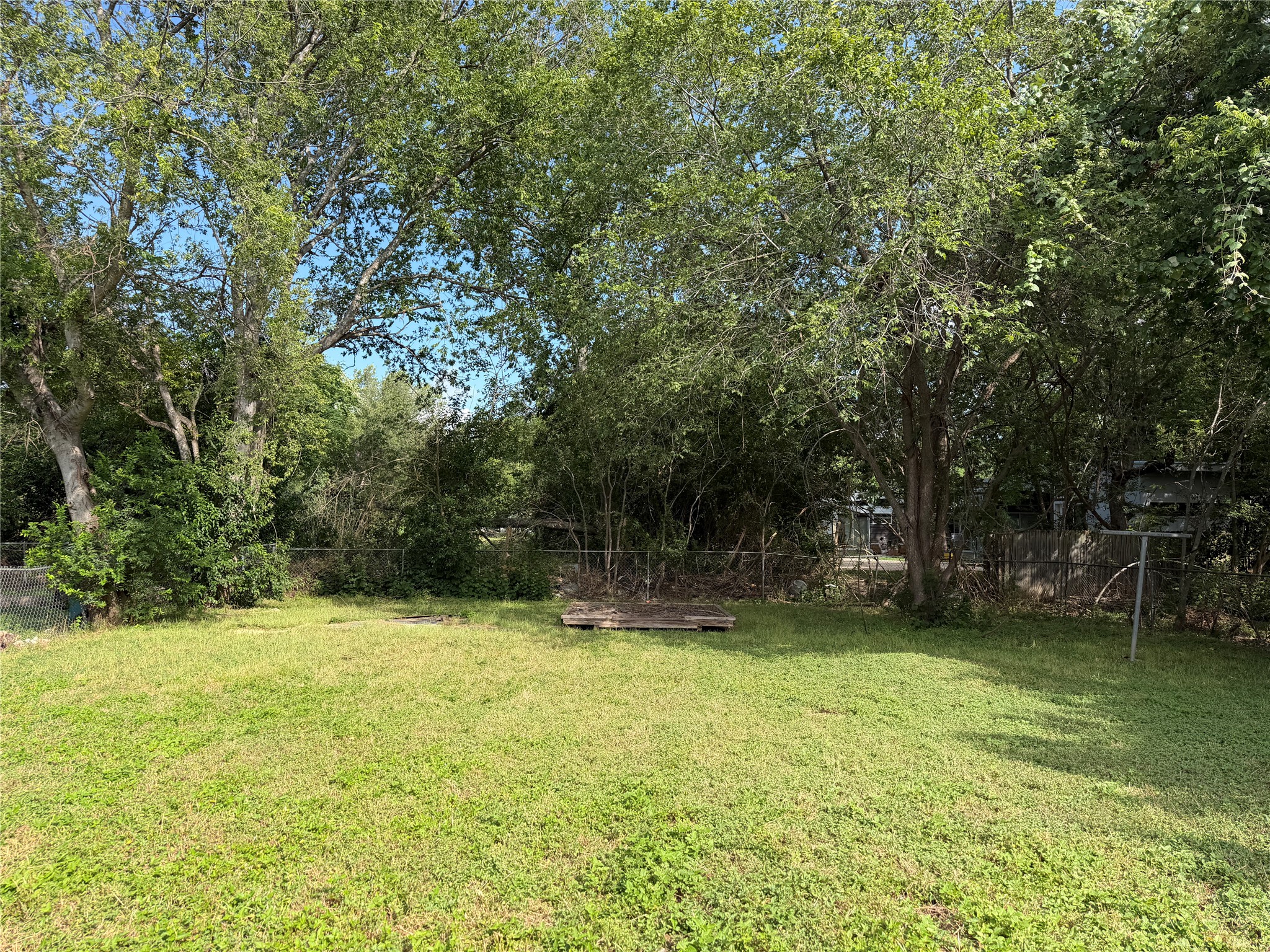 1060 Gardner Road Austin, TX 78721 - Photo 7 of 19 Green yard provides a natural backdrop for outdoor activities.