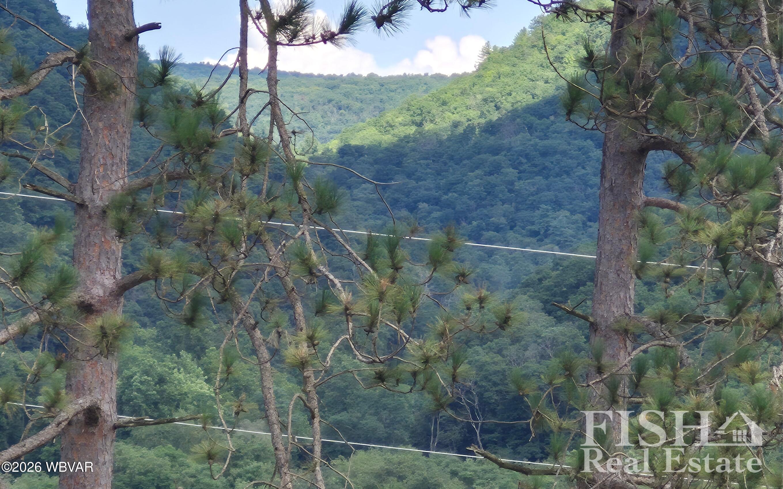 1171 Renovo Road Mill Hall, PA 17751 - Photo 9 of 28 Gallery Image 9