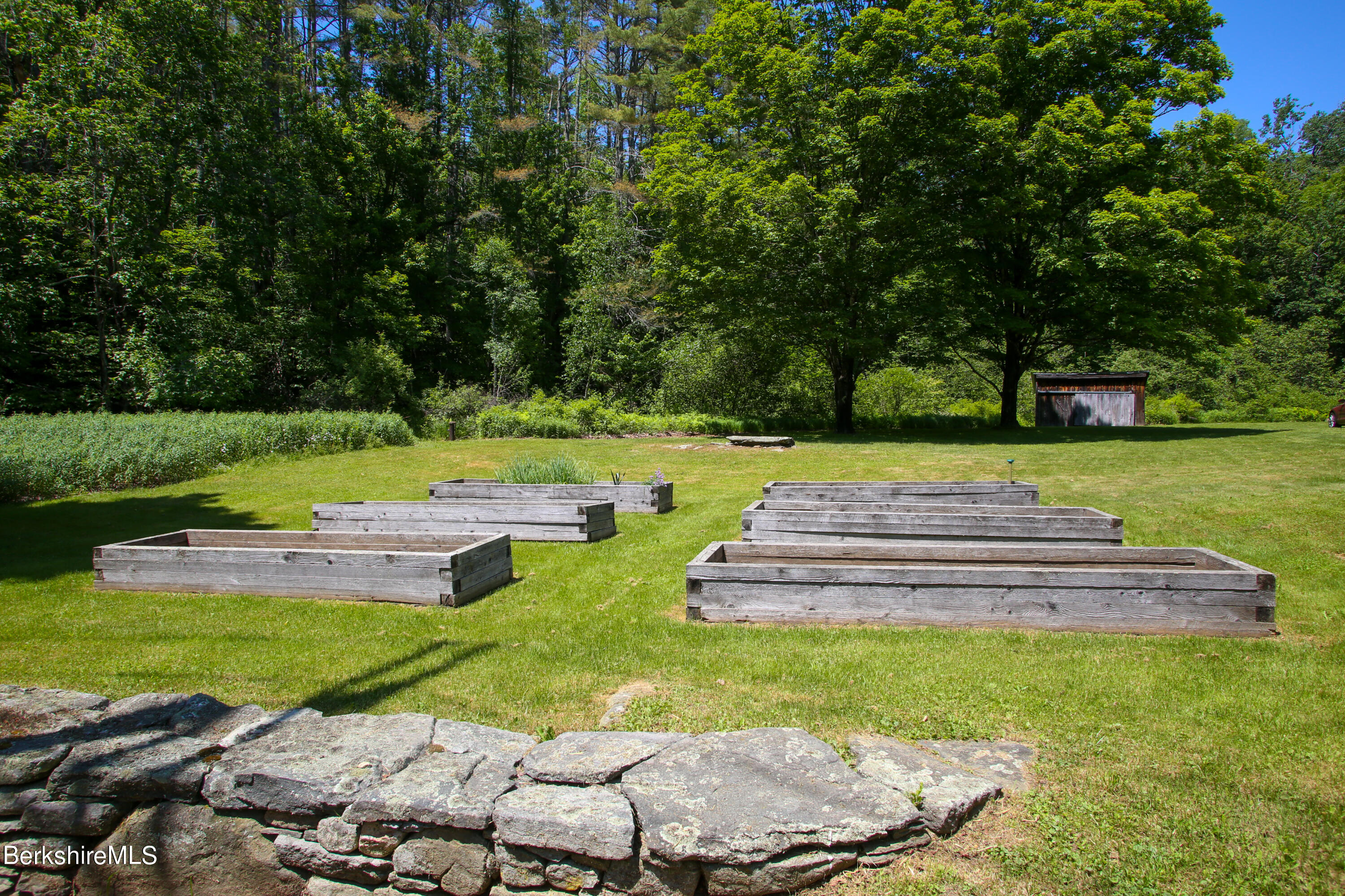228 Zoar Road Rowe, MA 01367 - Photo 41 of 50 a view of a park with large trees