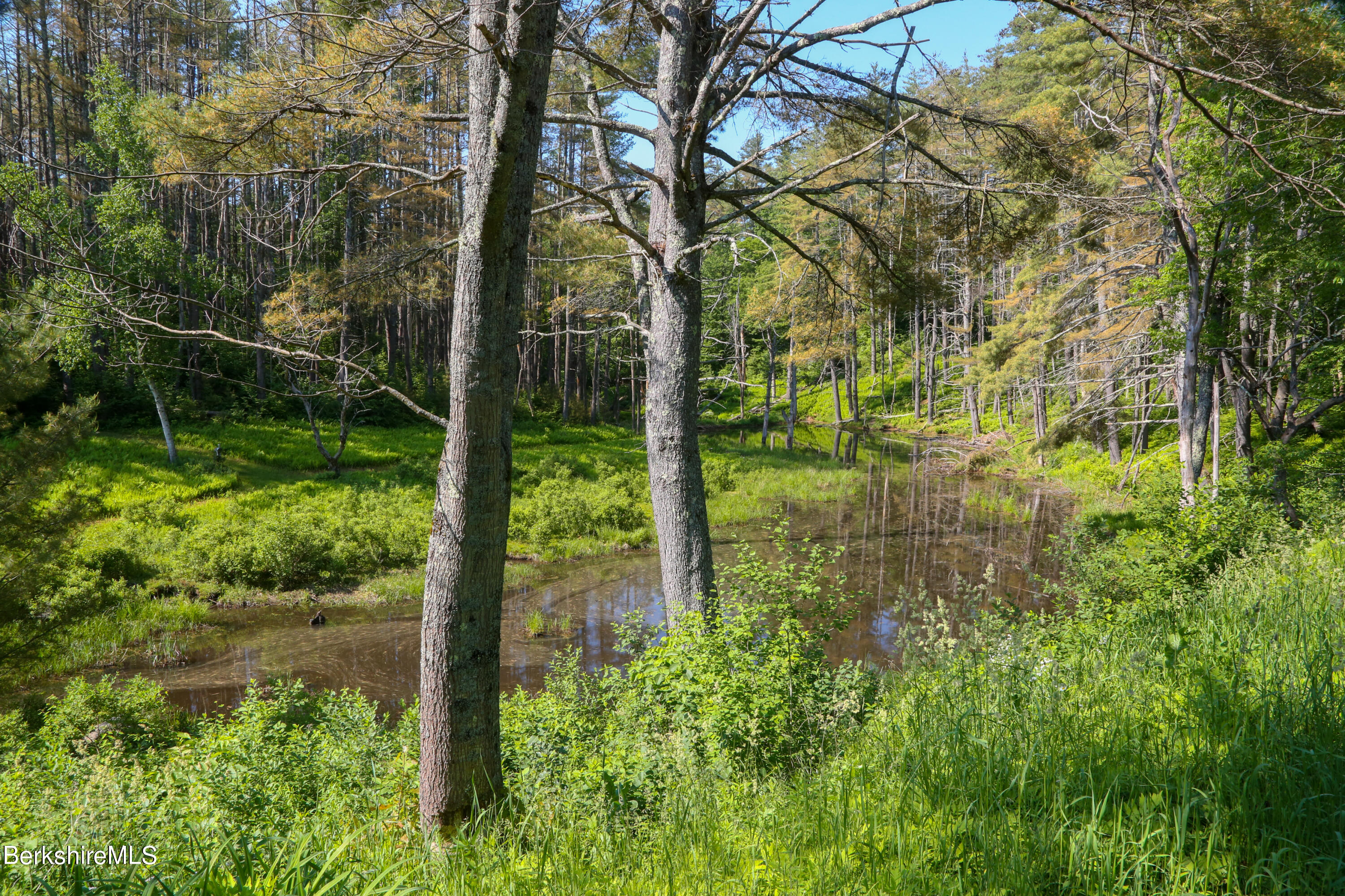 228 Zoar Road Rowe, MA 01367 - Photo 46 of 50 a view of lake with green space
