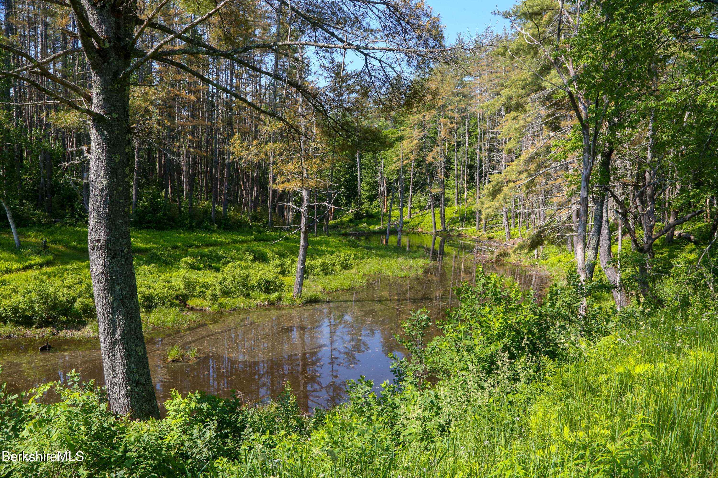 228 Zoar Road Rowe, MA 01367 - Photo 47 of 50 a view of a back yard