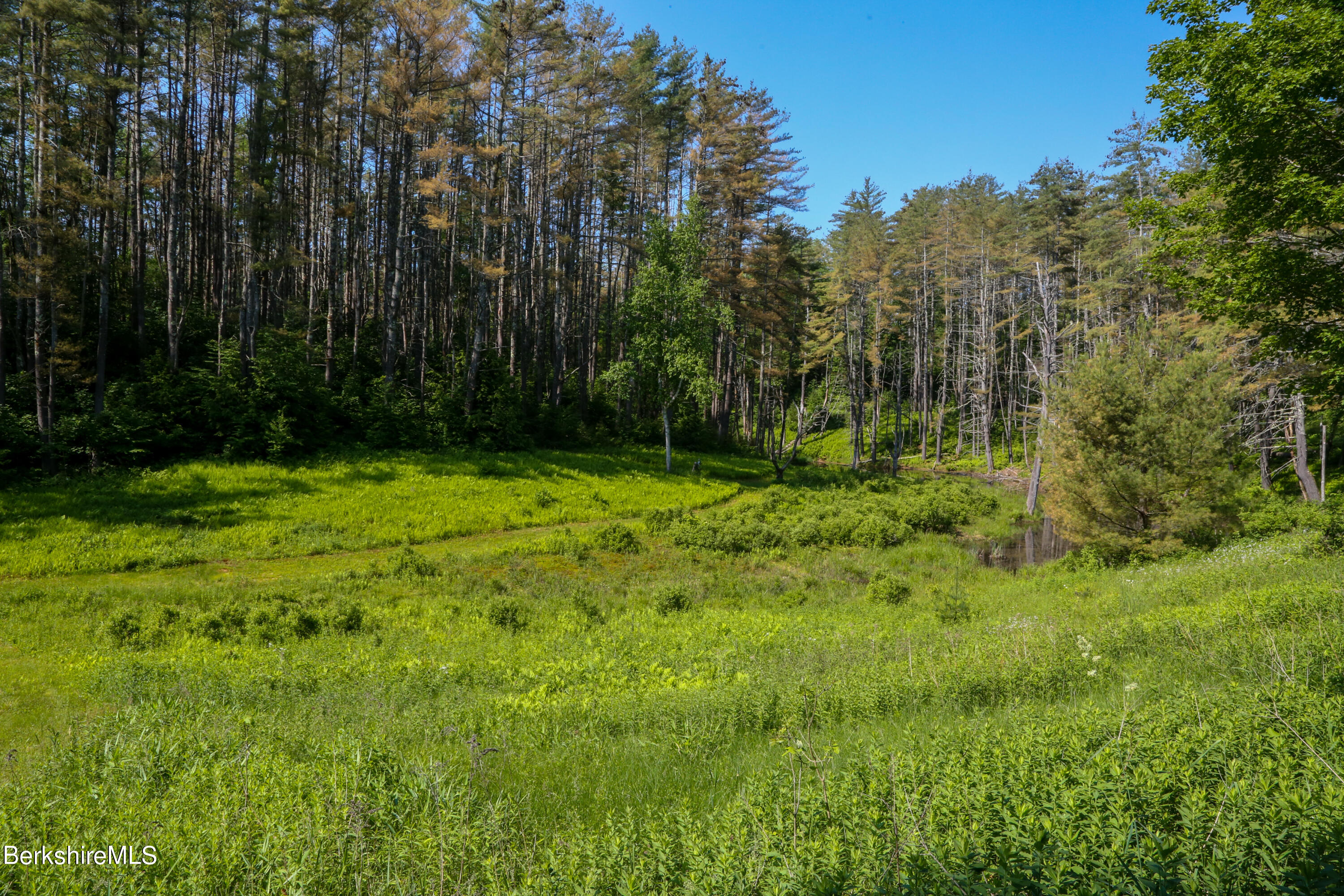 228 Zoar Road Rowe, MA 01367 - Photo 48 of 50 a view of outdoor space with a garden