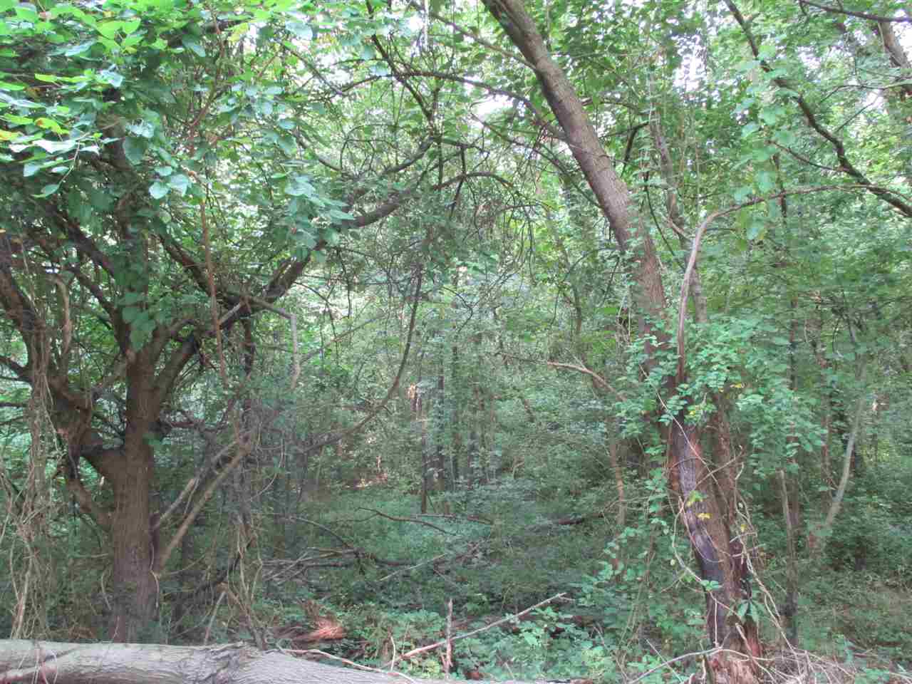 6788 Gardner Road Chandler, IN 47610 - Photo 3 of 5