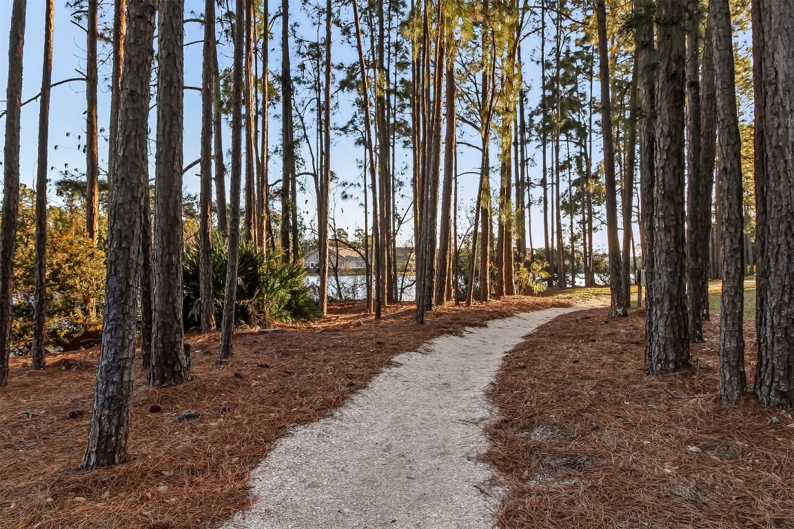 1775 Neighbor Street Fernandina Beach, FL 32034 - Photo 85 of 91 a view of road and trees