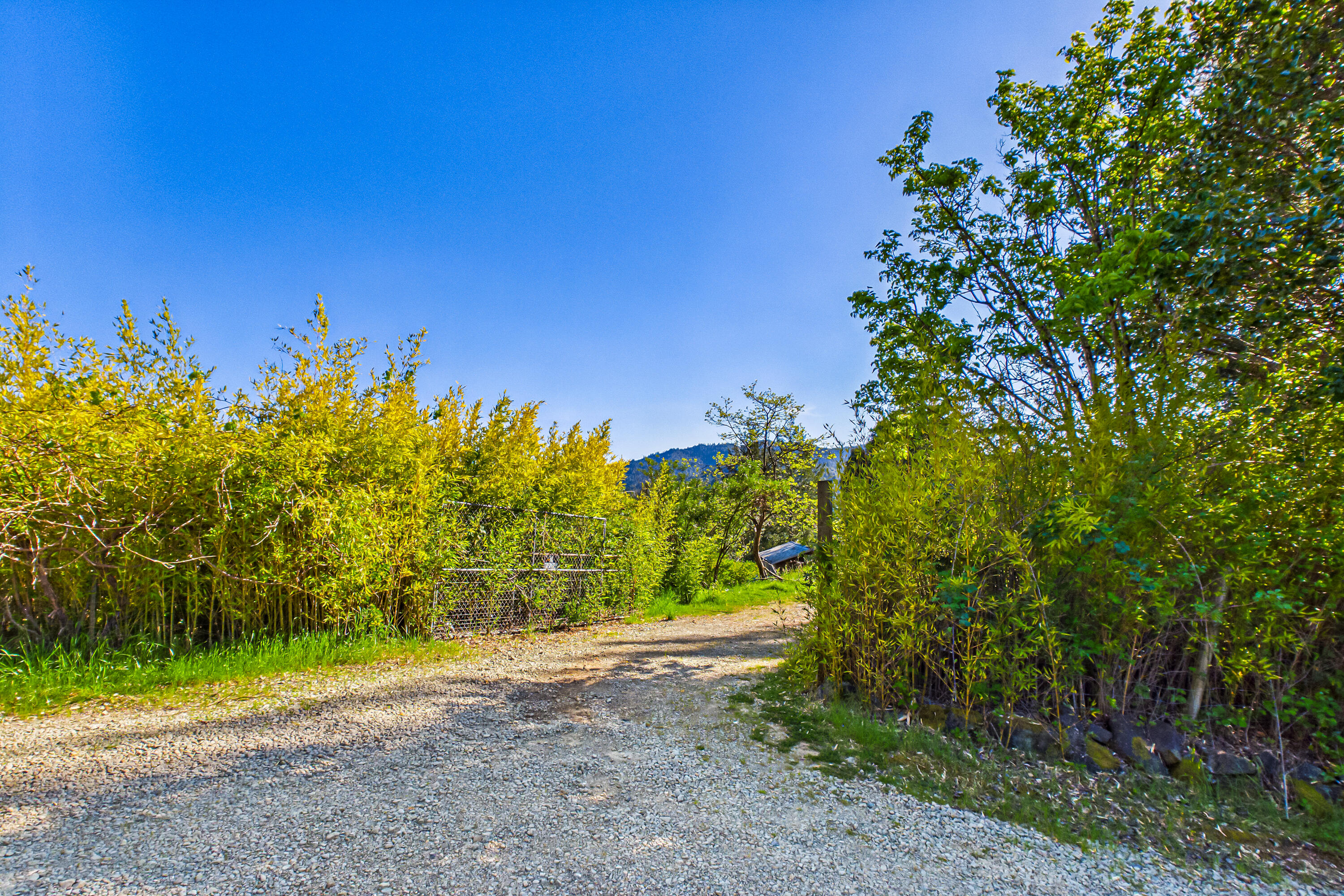 12600 Briceland Road Whitethorn, CA 95589 - Photo 66 of 111