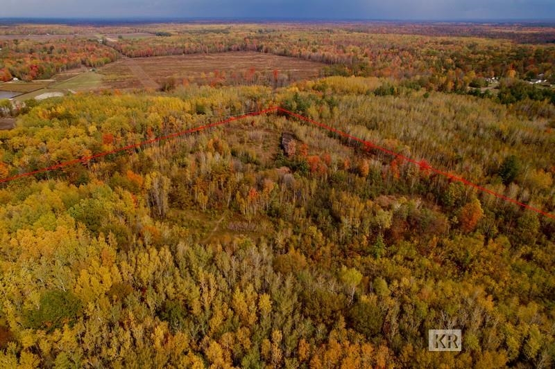 80-acres Wieman Road Gladwin, MI 48624 - Photo 4 of 28 Gallery Image 4