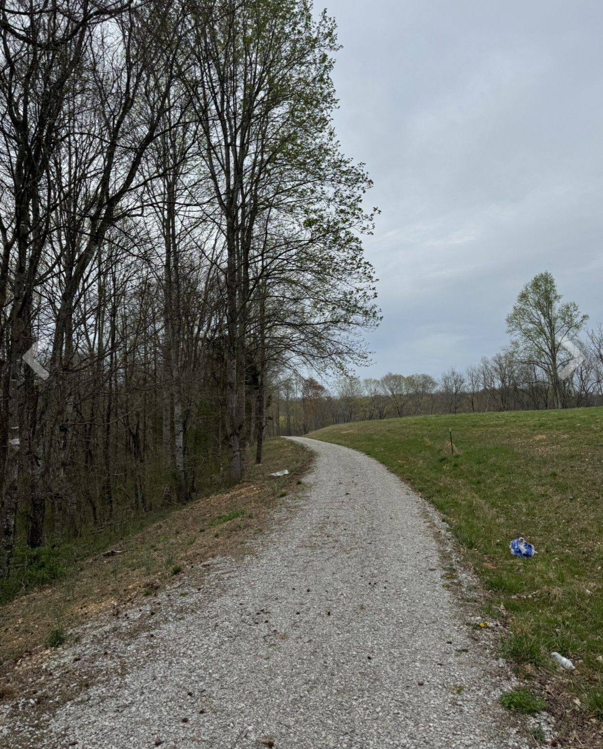 a view of a field with trees in the background