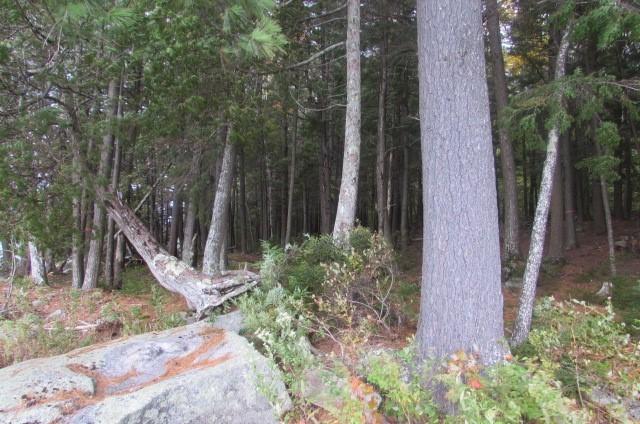 Lot 7 Bluff Road Enfield, ME 04493 - Photo 9 of 12 More view Pleasant View Shores