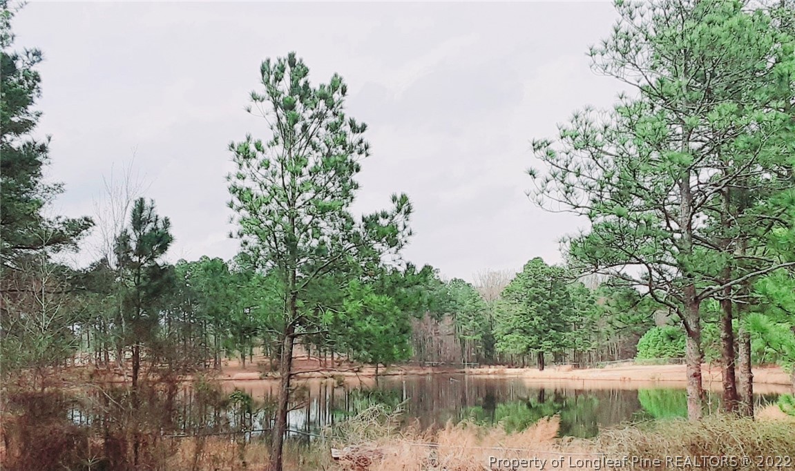 76 Woodbridge Drive Spring Lake, NC 28390 - Photo 12 of 13 a view of lake with green space