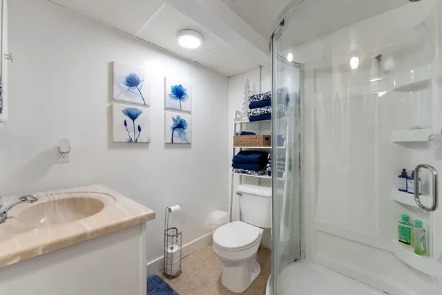 a bathroom with a sink a toilet and a shower