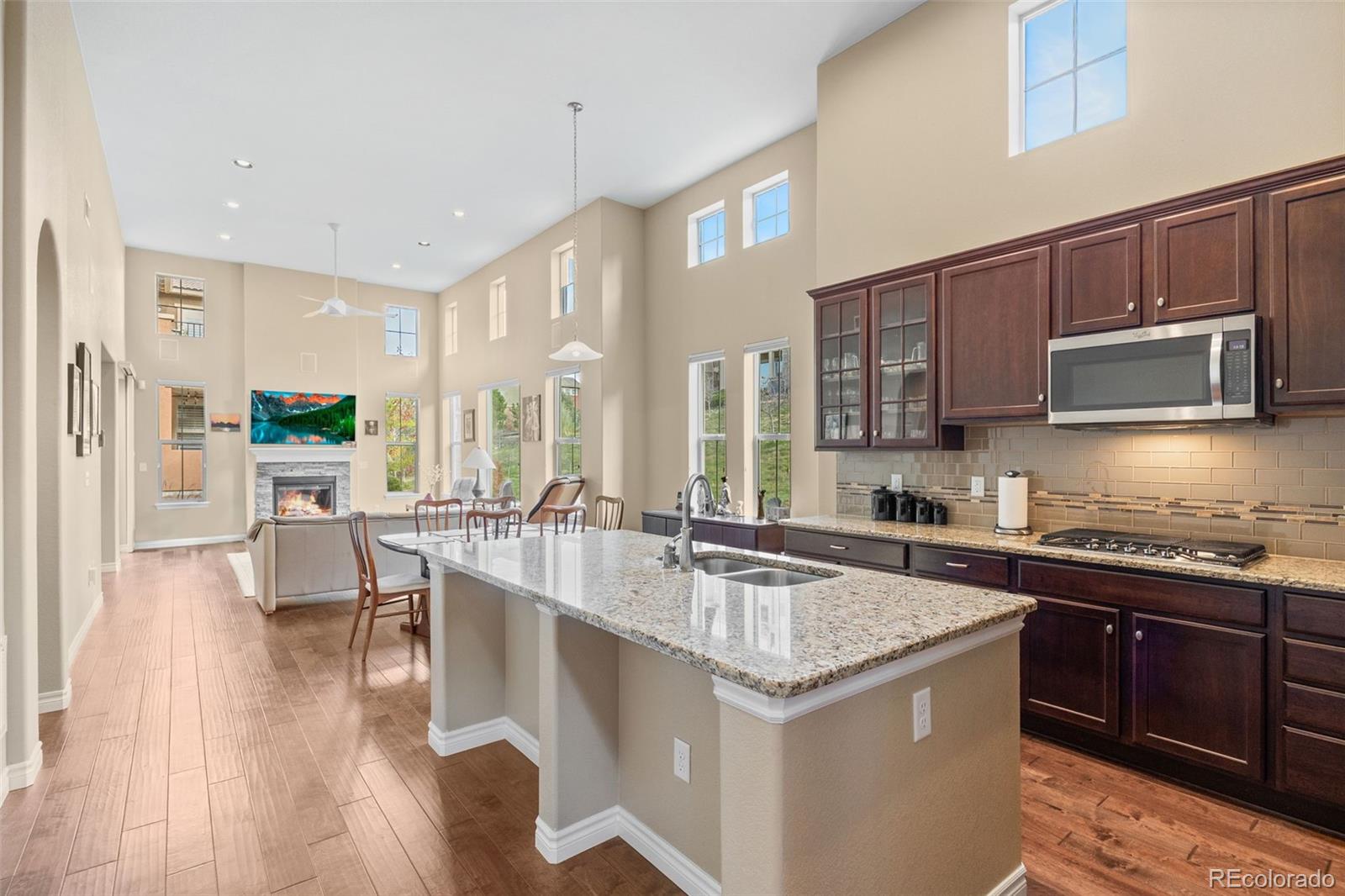 9470 Sori Lane Highlands Ranch, CO 80126 - Photo 4 of 27