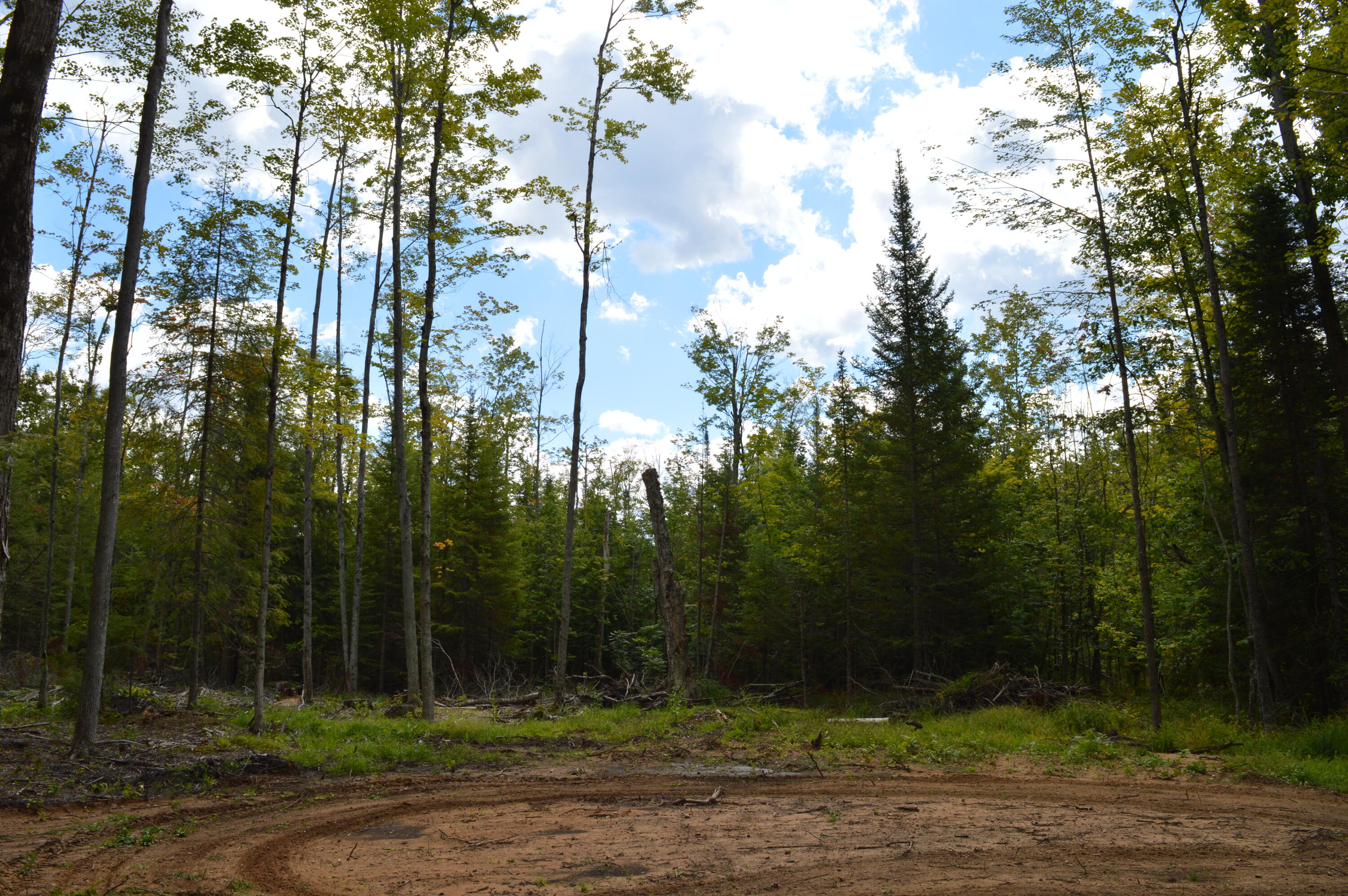 East County Line Road South Branch, MI 48761 - Photo 36 of 87 Gallery Image 36