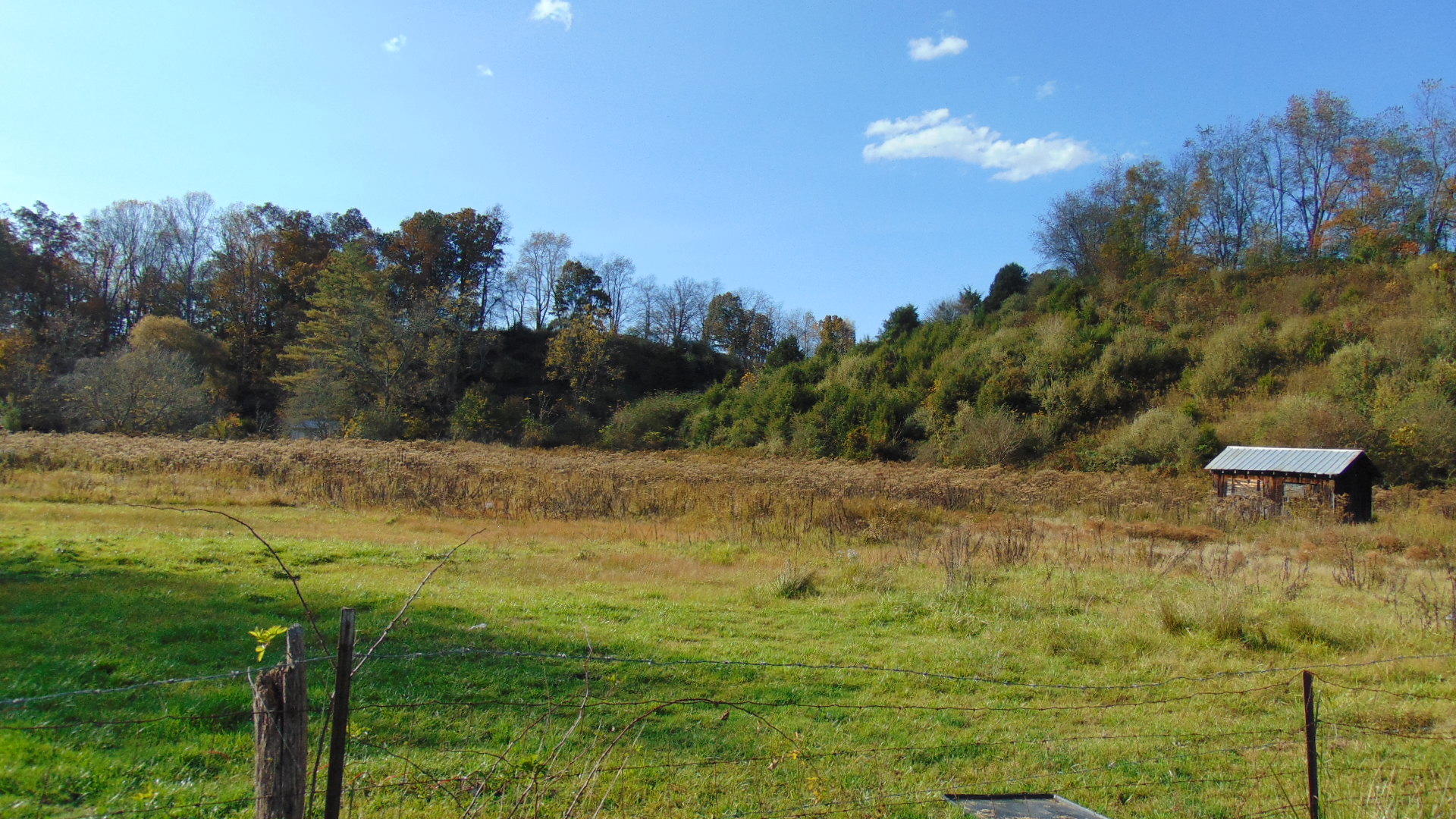 527 Riverside Road Chilhowie, VA 24319 - Photo 12 of 14 DSC00252