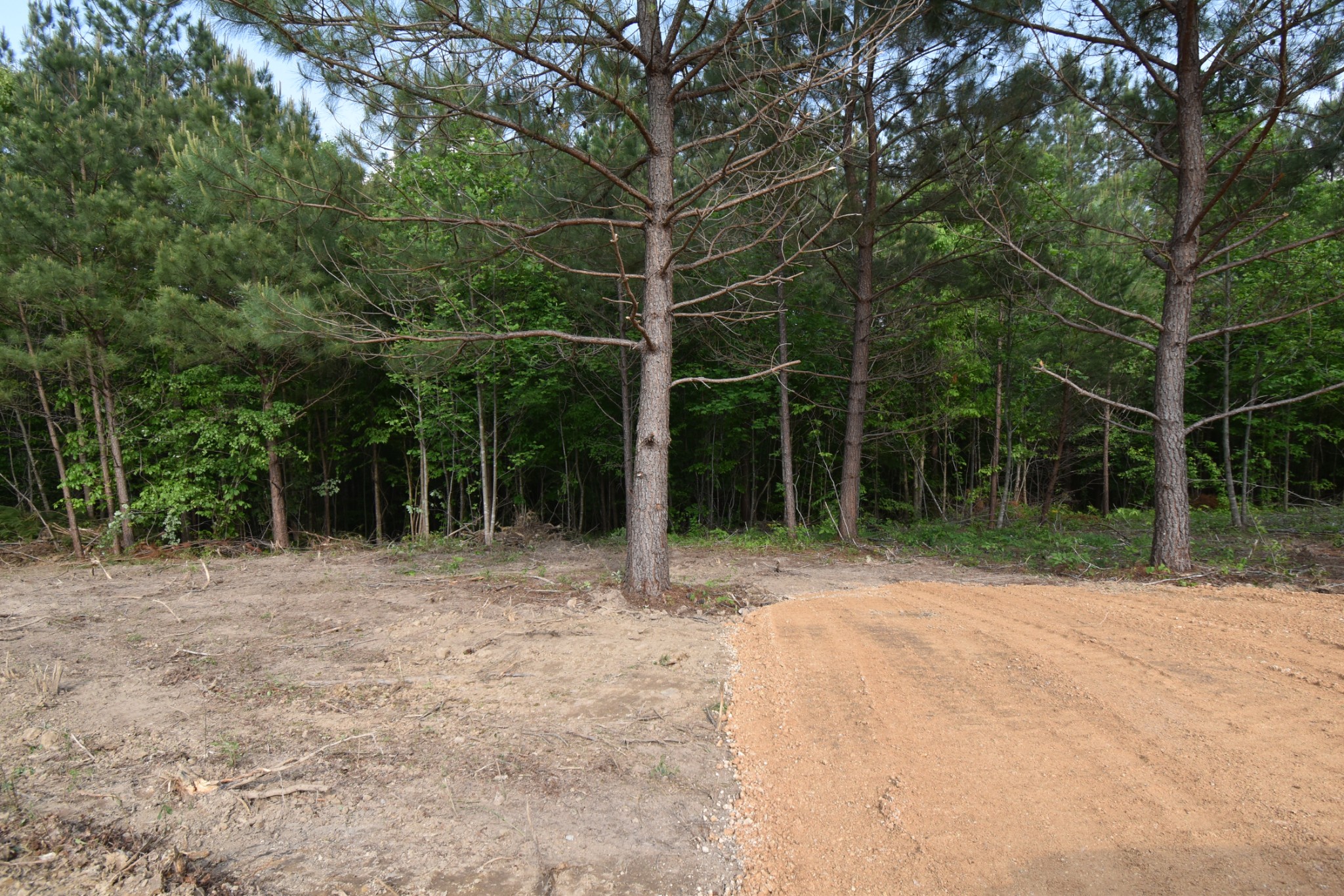 0 Howard Switch Road Hohenwald, TN 38462 - Photo 2 of 8 Gallery Image 2