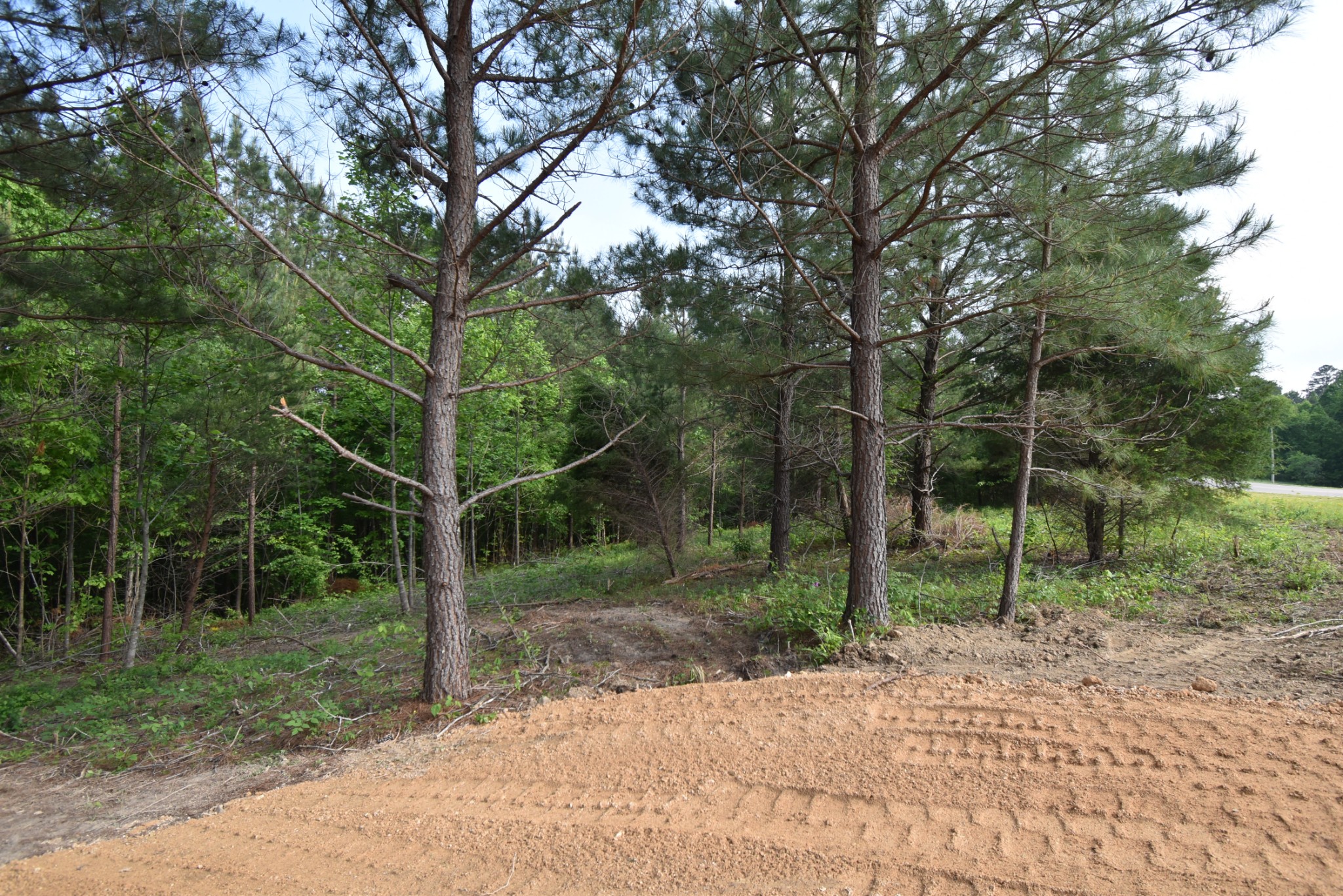 0 Howard Switch Road Hohenwald, TN 38462 - Photo 3 of 8 Gallery Image 3