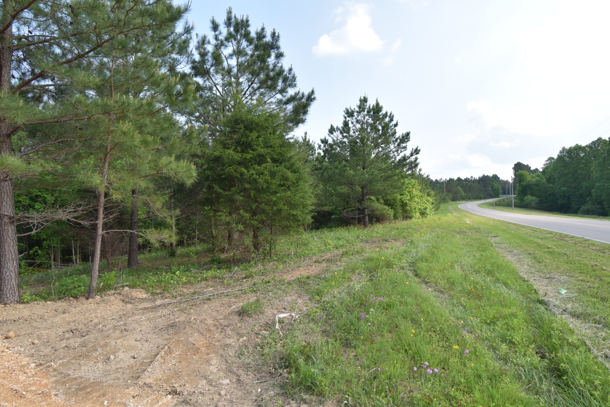 0 Howard Switch Road Hohenwald, TN 38462 - Photo 4 of 8 Gallery Image 4
