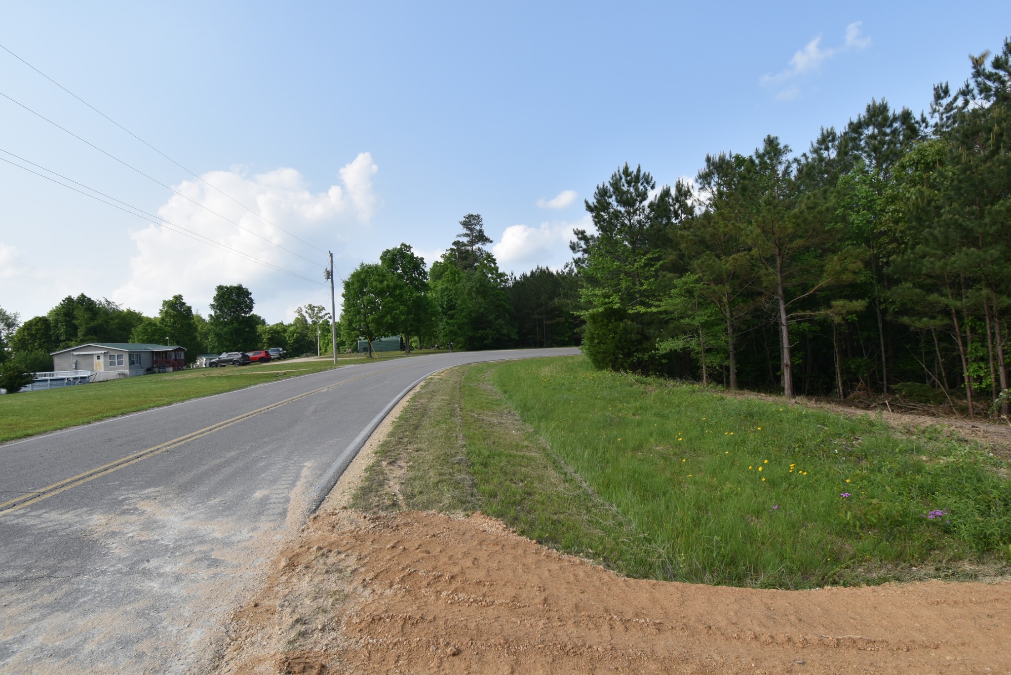 0 Howard Switch Road Hohenwald, TN 38462 - Photo 5 of 8 Gallery Image 5