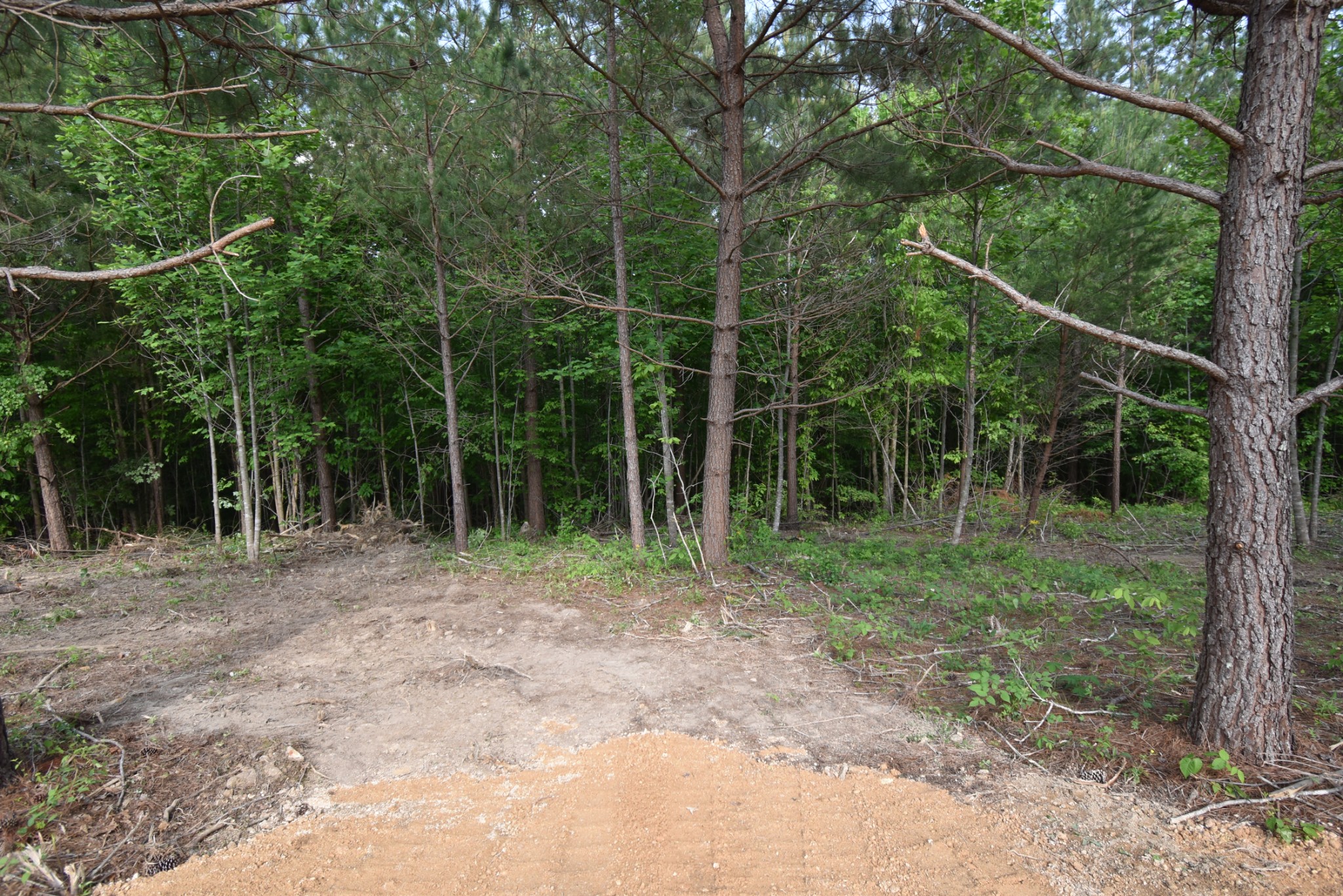 0 Howard Switch Road Hohenwald, TN 38462 - Photo 7 of 8 Gallery Image 7