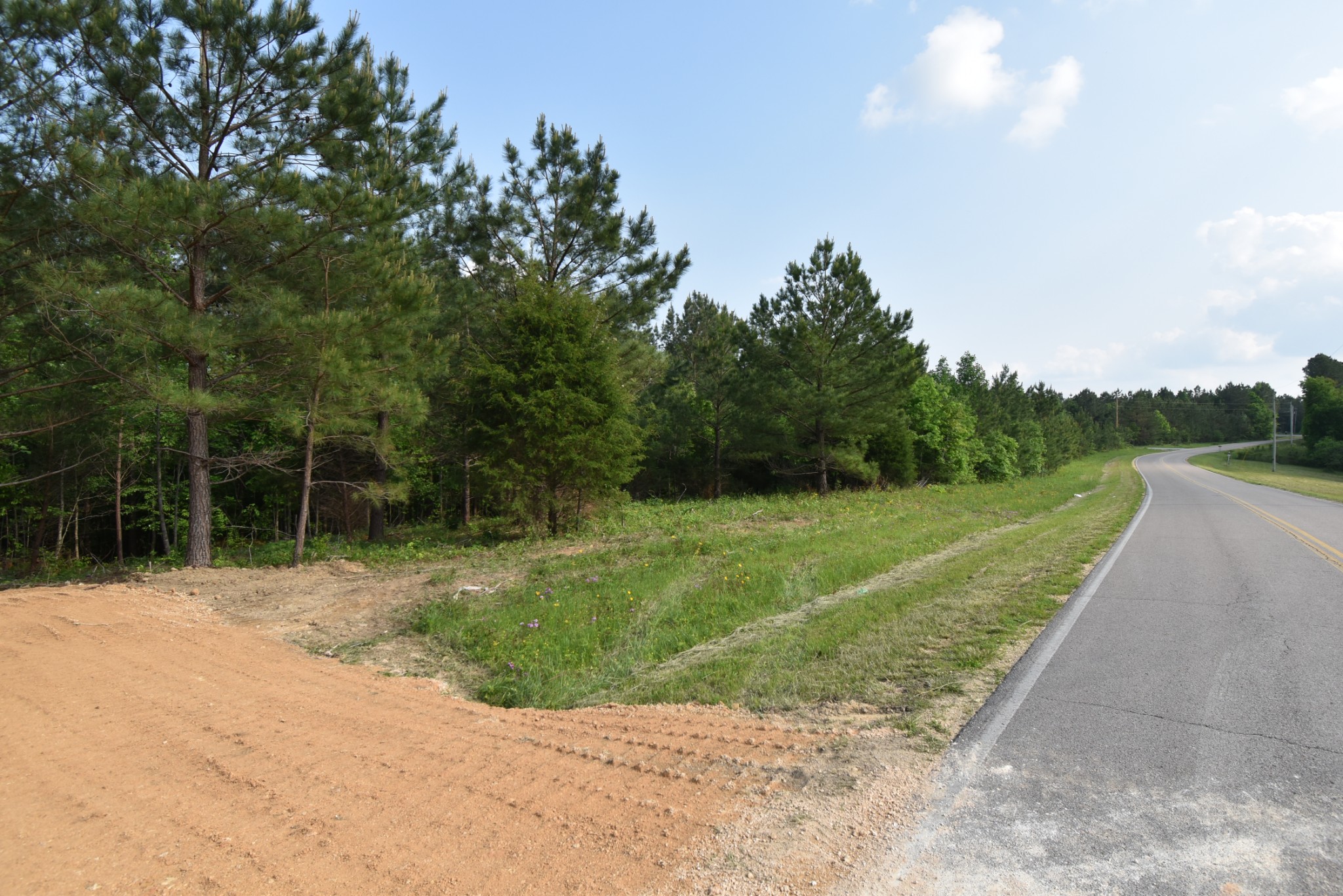 0 Howard Switch Road Hohenwald, TN 38462 - Photo 8 of 8 Gallery Image 8