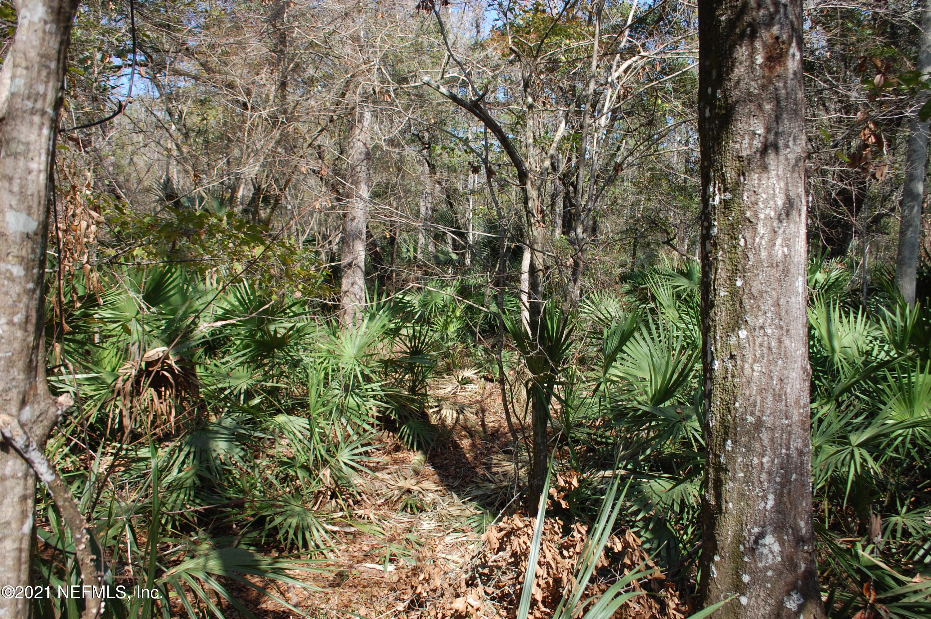 0 Little Orange Creek Road Hawthorne, FL 32640 - Photo 3 of 15 DSC_1209