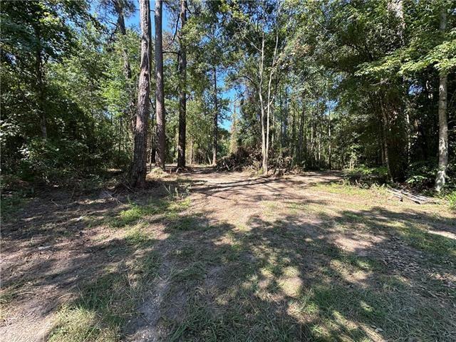 437 Rd Covington La Covington, LA 70435 - Photo 2 of 3