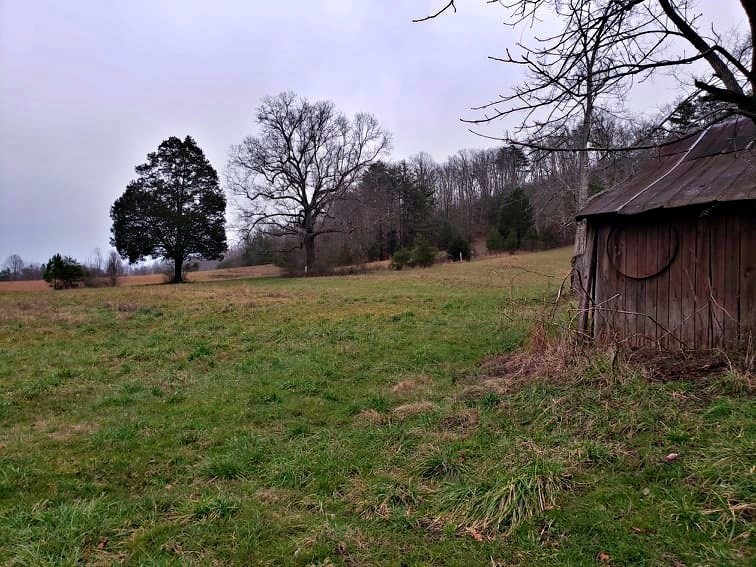 106 County Road 181 Decatur, TN 37322 - Photo 7 of 33 Gallery Image 7