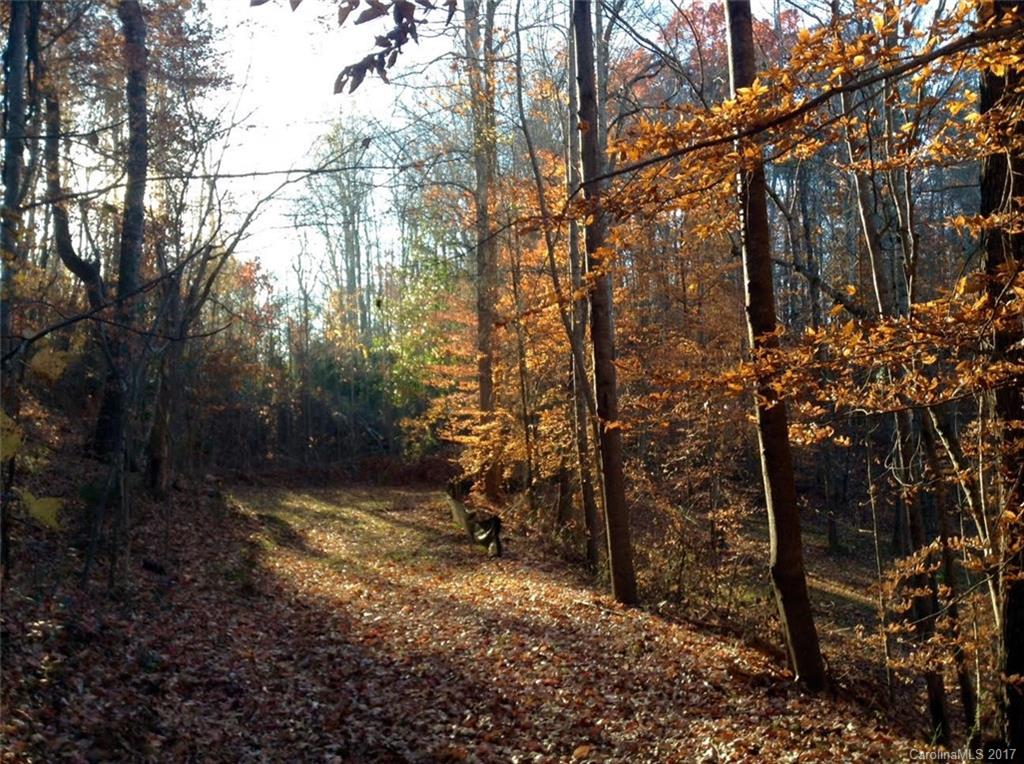 169 St John Zion Road Rutherfordton, NC 28139 - Photo 12 of 14 a view of outdoor space with trees