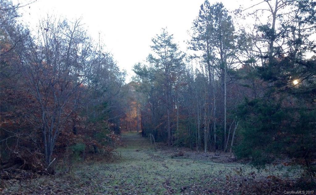 169 St John Zion Road Rutherfordton, NC 28139 - Photo 9 of 14 a view of a forest
