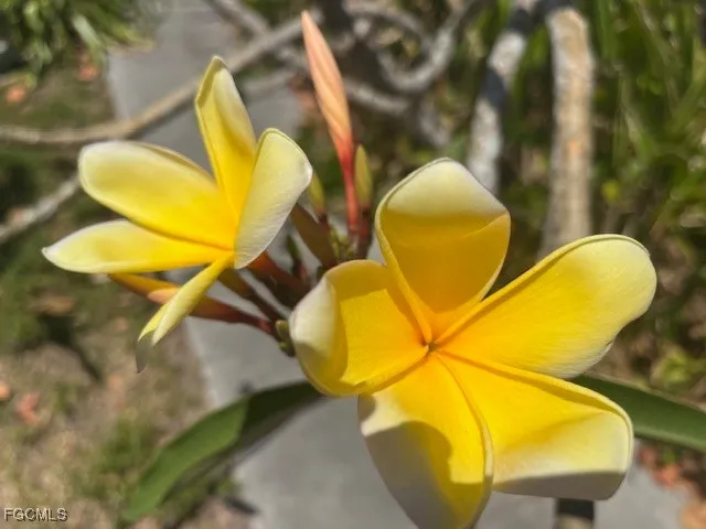 $295,000 | 7256 Victory Road, Bokeelia, FL 33922