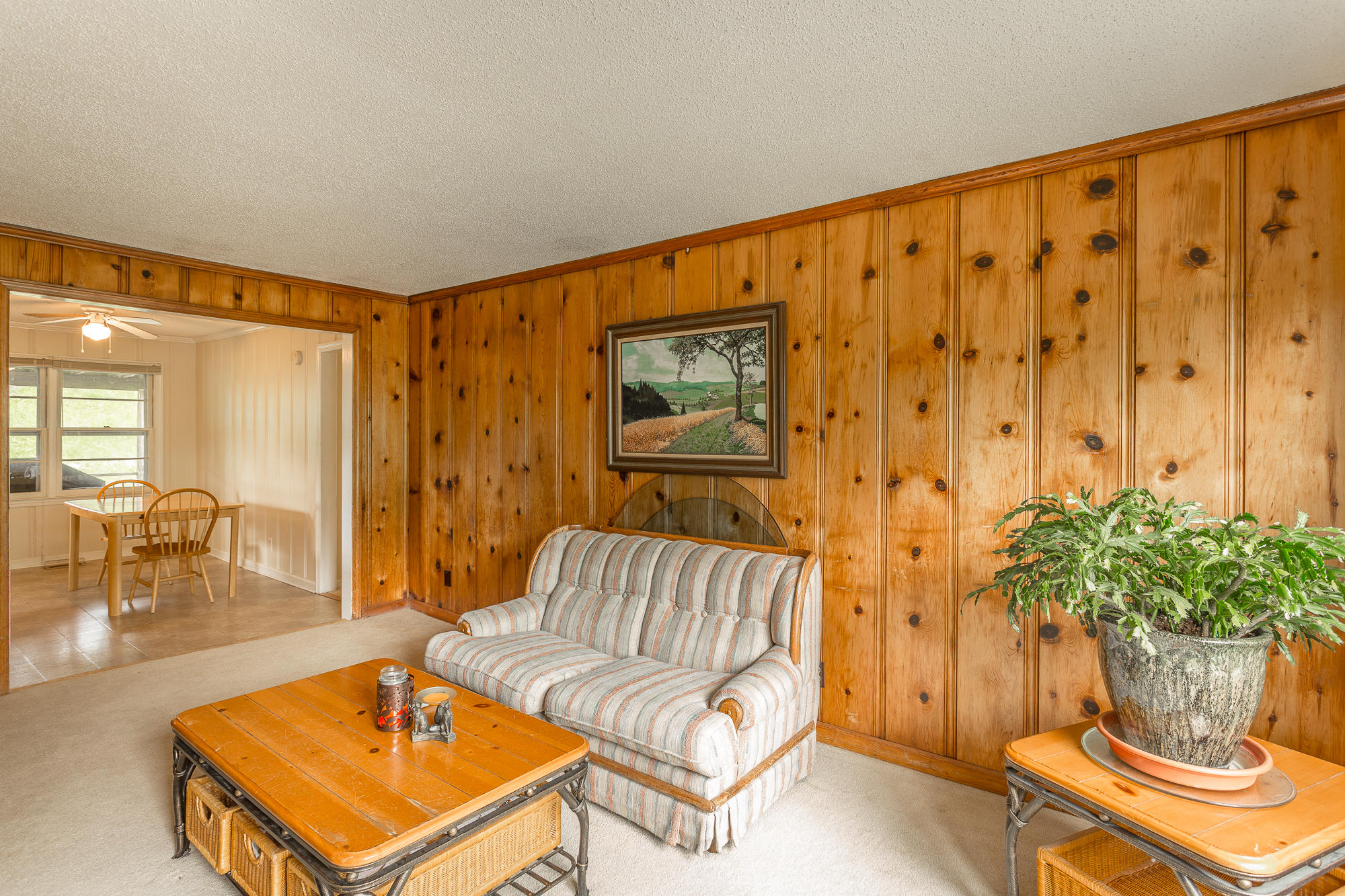 gorgeous Knotty Pine