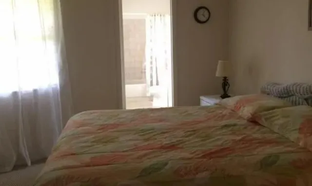 a living room with furniture flowerpot and a chandelier