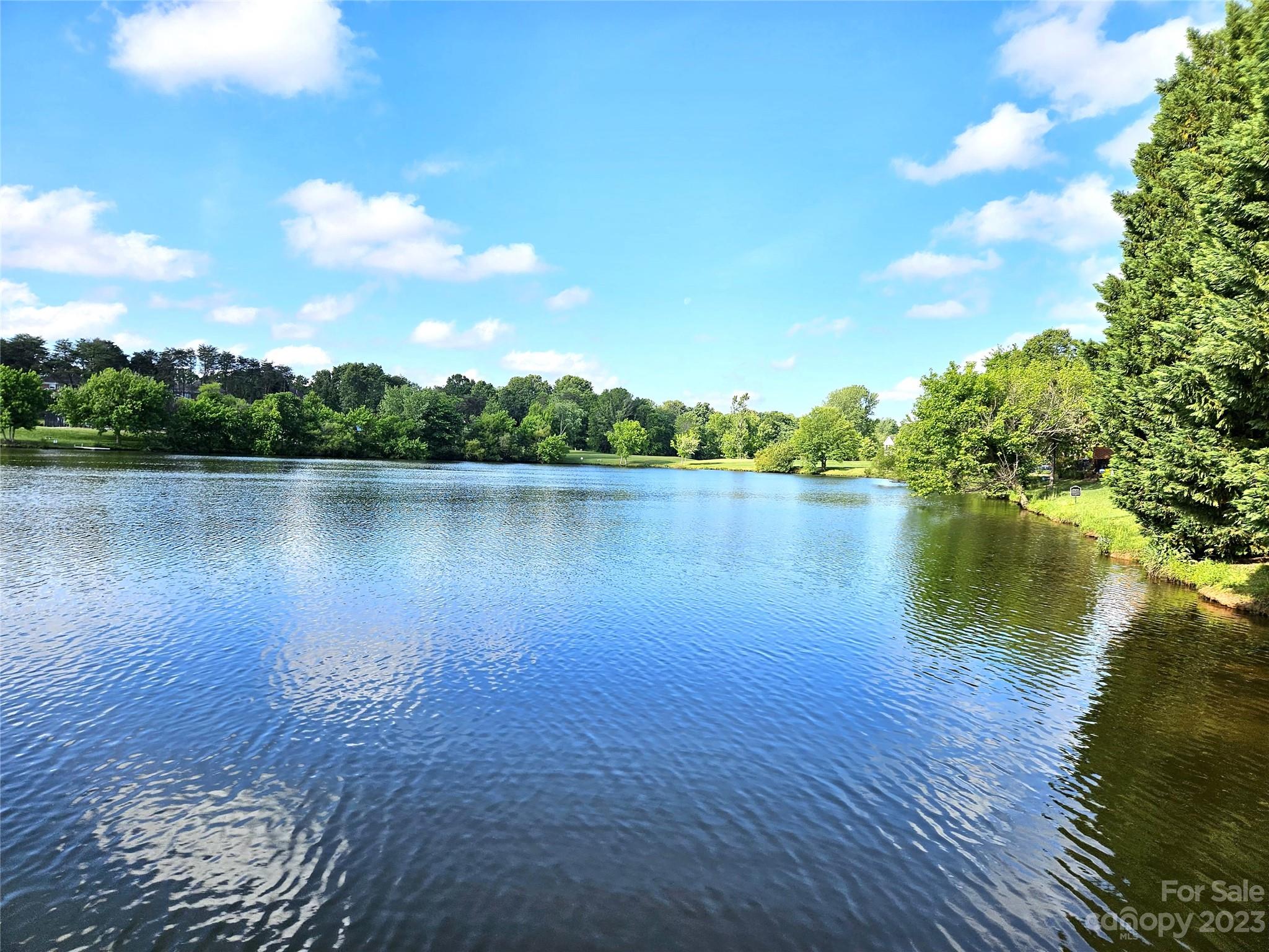 902 Ospre Lane Fort Mill, SC 29708 - Photo 44 of 44 a view of a lake from a yard