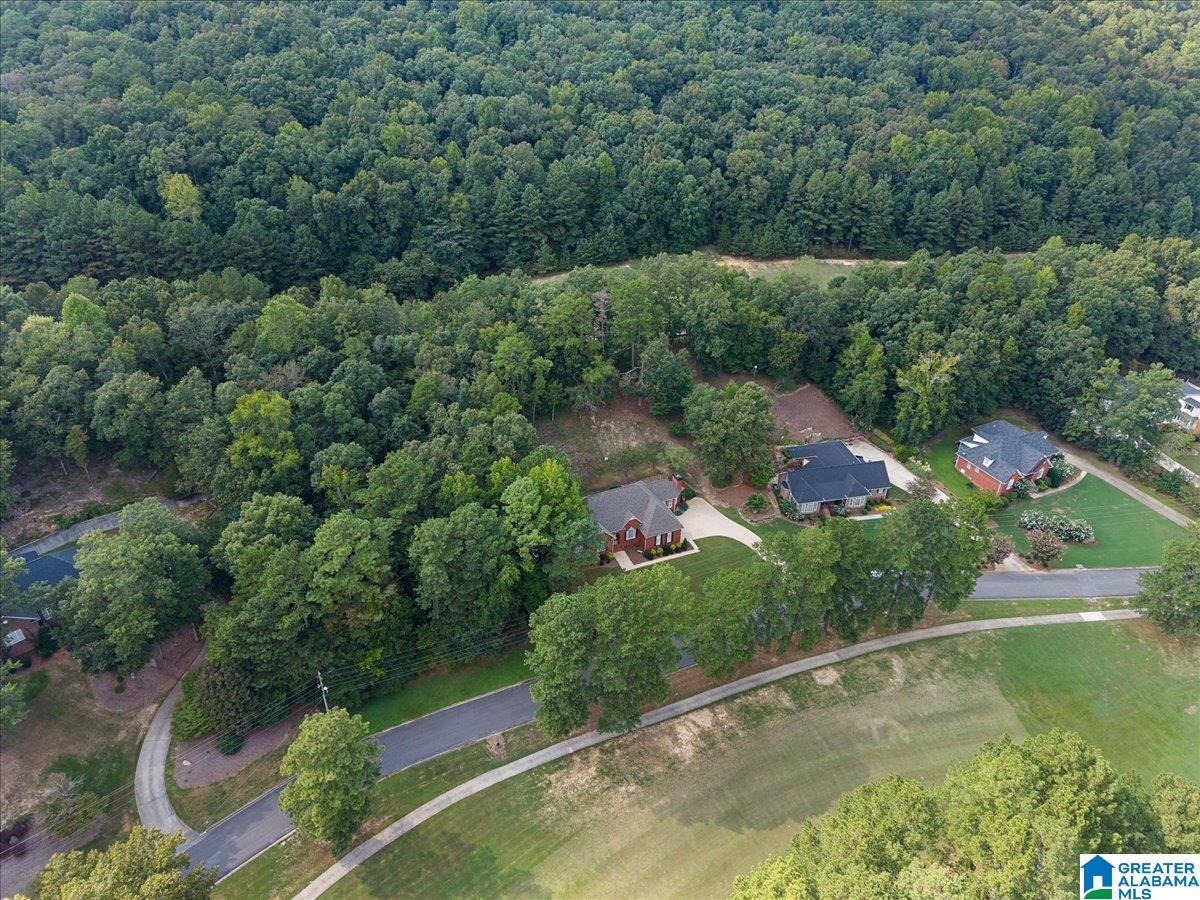 1175 Heritage Road Oneonta, AL 35121 - Photo 37 of 39
