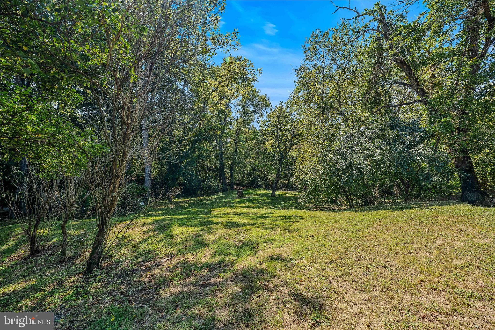 1646 Gerrardstown Road Gerrardstown, WV 25420 - Photo 25 of 53 Backyard