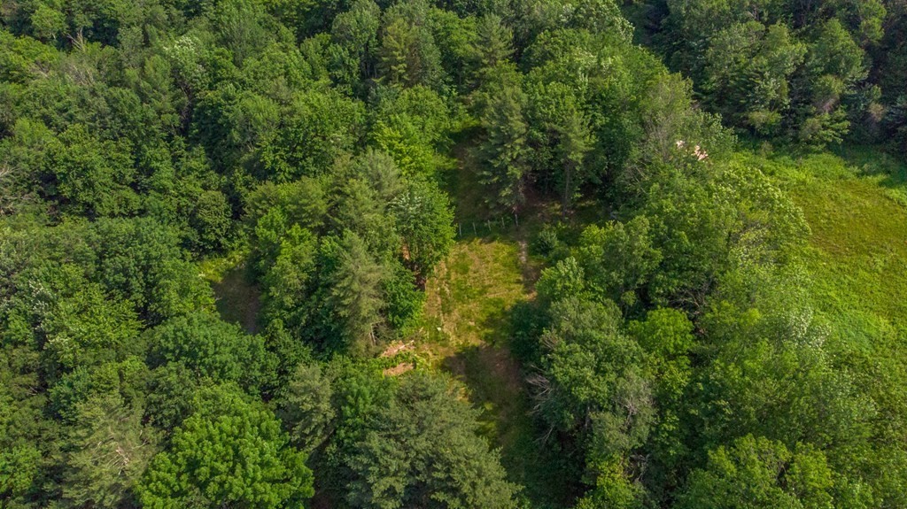 1542 Main Road Granville, MA 01034 - Photo 38 of 42