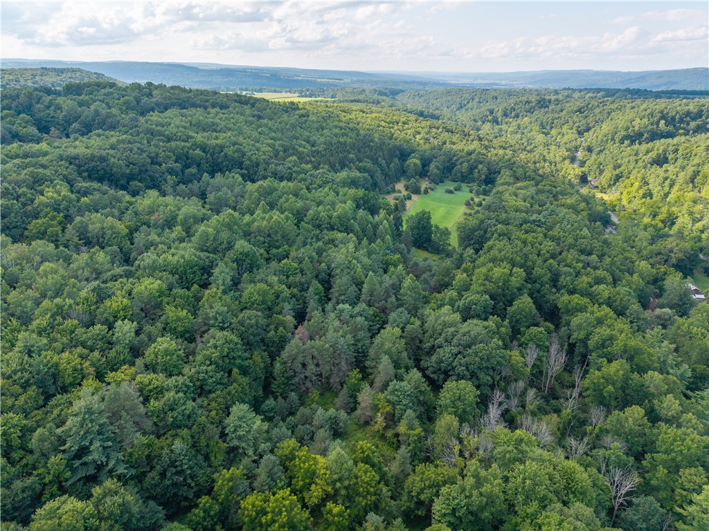 46 County Route Dansville, NY 14437 - Photo 18 of 50 Gallery Image 18