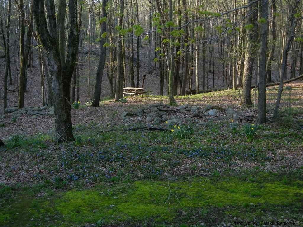 174 Peak Road Stone Ridge, NY 12484 - Photo 25 of 29 a view of outdoor space with trees