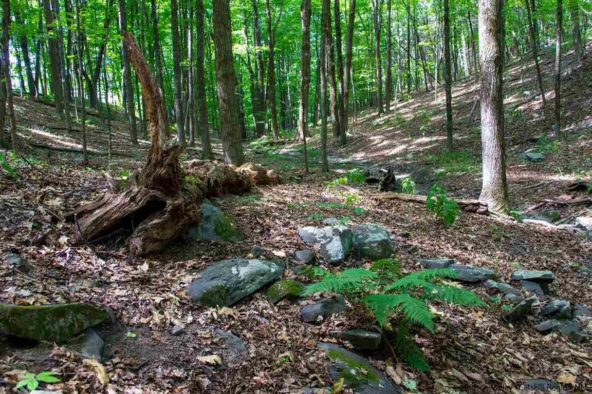 174 Peak Road Stone Ridge, NY 12484 - Photo 26 of 29 a view of outdoor space and yard
