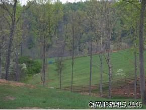 780 Meadow Crest Road Tryon, NC 28782 - Photo 2 of 12