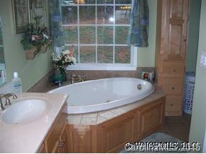 780 Meadow Crest Road Tryon, NC 28782 - Photo 10 of 12 a bath tub sitting next to a bathroom sink