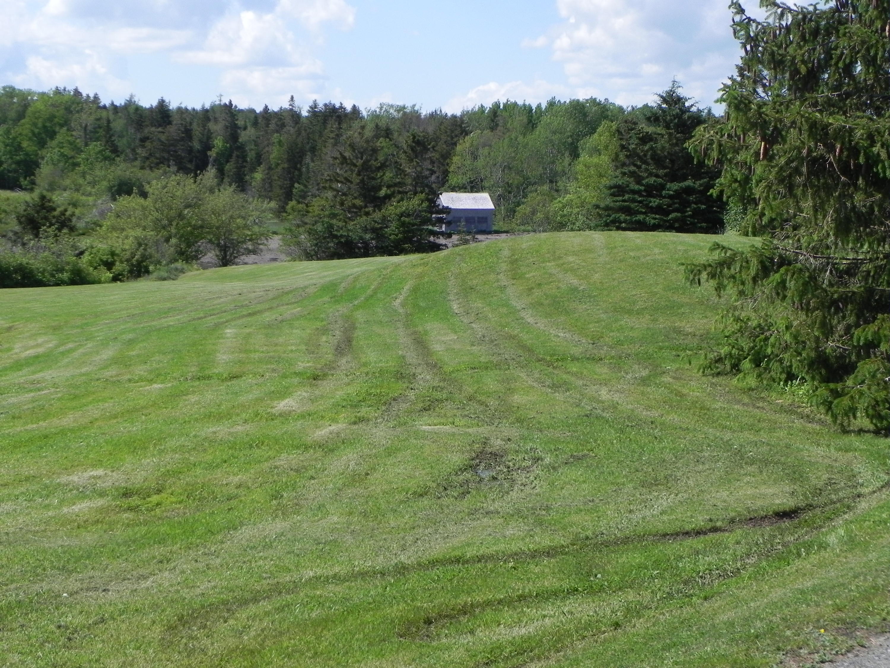 859 North Lubec Road Lubec, ME 04652 - Photo 41 of 51 DSCN8778
