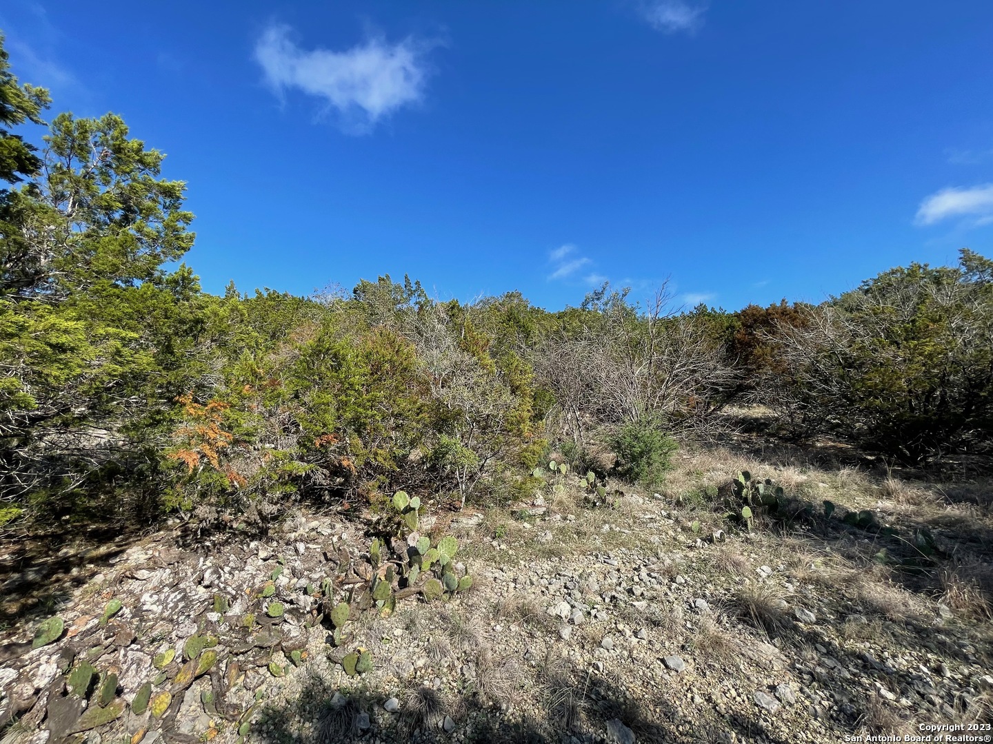 619 Winding Ravine San Antonio, TX 78258 - Photo 36 of 70